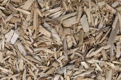 biomass boilers Forstal